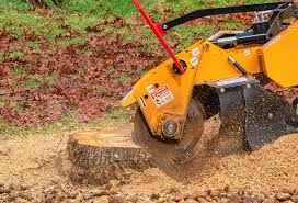 Best Stump Grinding and Removal  in Welch, WV